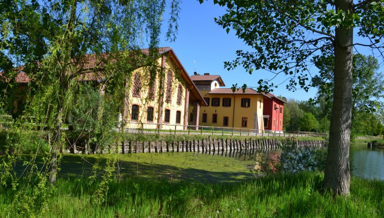 PRANZI & CENE in campagna, all' APERTO, nel verde del PARCO del TICINO!